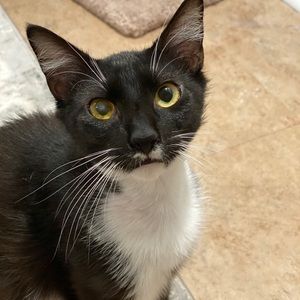 Meet your Posher, Jake